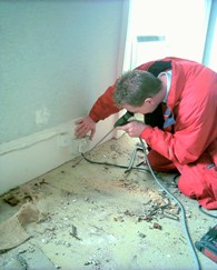Testing for woodworm with a borescope